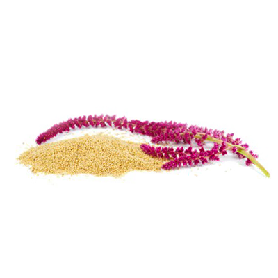 OLIVE SPA pleťový krém Instant Lift se spirulinou 2